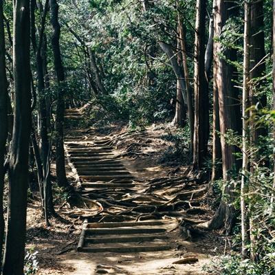 潜行追踪游戏破解版下载